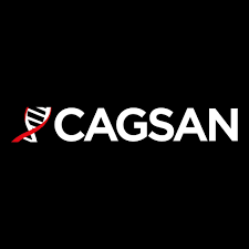 CAGSAN MERDIVEN LOGO