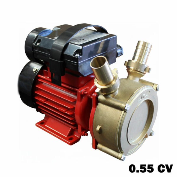 Pompe de transfert de liquides BE-M25055 en laiton avec chariot