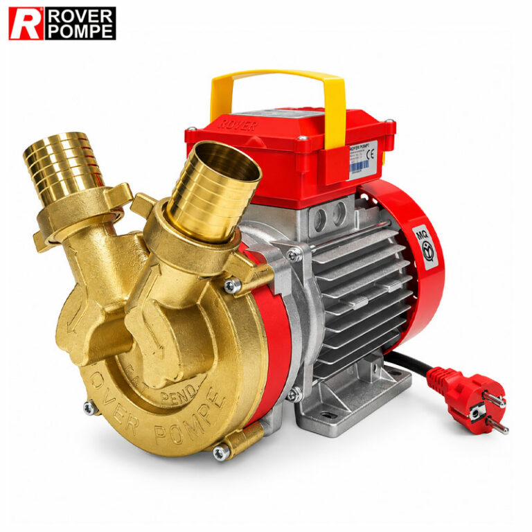 Pompe de transvasement ROVER POMPE BE-M 40 de 1,2 CV