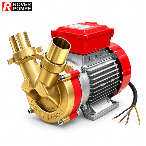 Pompe de transvasement triphasée ROVER POMPE BE-T 50 de 3 CV